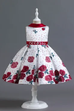 A Line Pescoço Redondo Azul Estampado Vestido de Menina