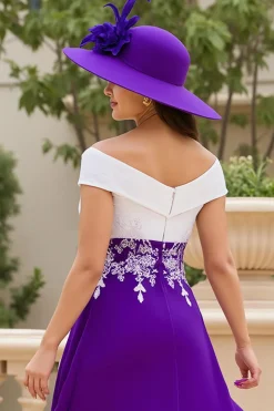 A Linha Roxa V-Neck Ruched Mãe do Vestido de Noiva com Apliques de Renda