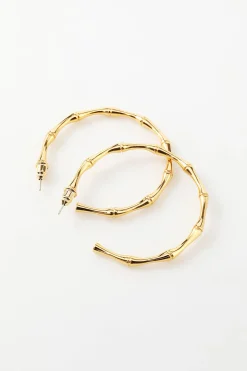 Brincos de círculo dourado