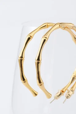 Brincos de círculo dourado