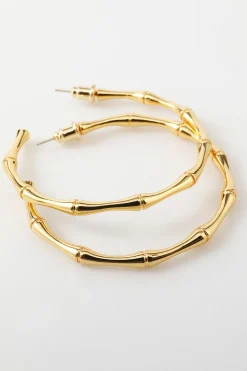 Brincos de círculo dourado