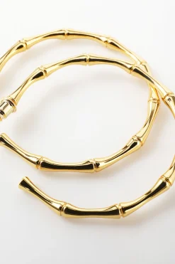 Brincos de círculo dourado