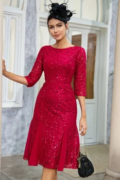 Burgundy Sheath Lace Mãe do Vestido de Noiva