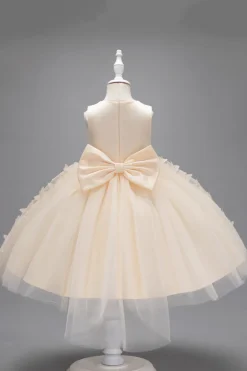 Champanhe Tule Vestido de Menina Com Arco