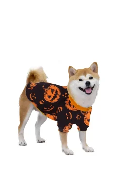 Laranja Halloween manga longa família combinando conjunto de pijama