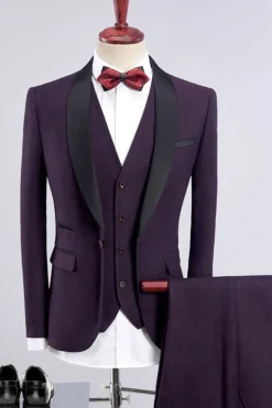 Ternos de homem 3 peças roxo