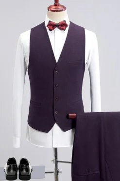 Ternos de homem 3 peças roxo