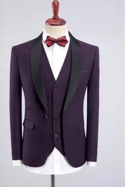 Ternos de homem 3 peças roxo