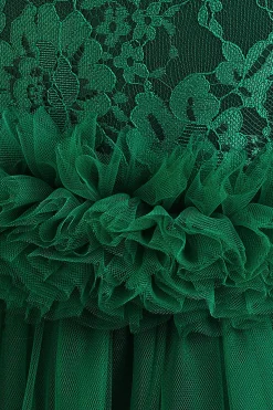 Tule verde sem mangas Um vestido de menina linha com renda