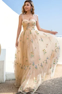 Um spaghetti de linha tiras champagne vestido de baile com apliques