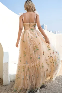 Um spaghetti de linha tiras champagne vestido de baile com apliques